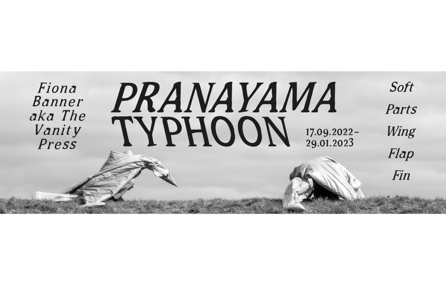 Fiona Banner aka The Vanity Press: Pranayama Typhoon Soft Parts Wing Flap Fin