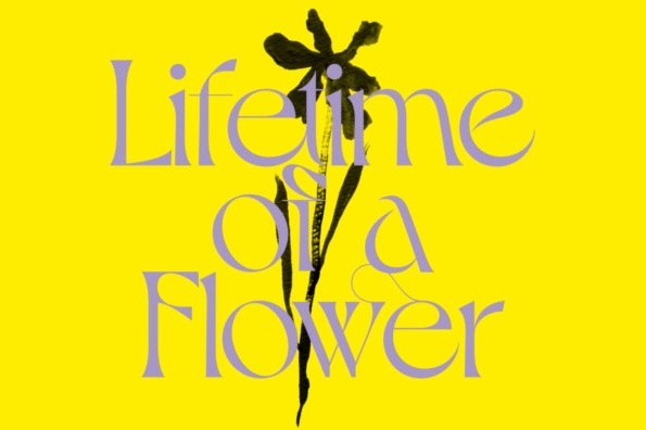 Eiko Ishibashi & Jim O’Rourke: Lifetime of a Flower