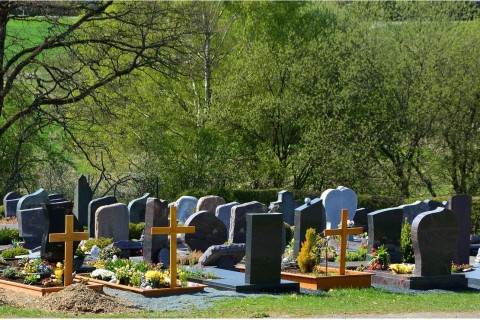 Friedhofsspaziergänge 2022