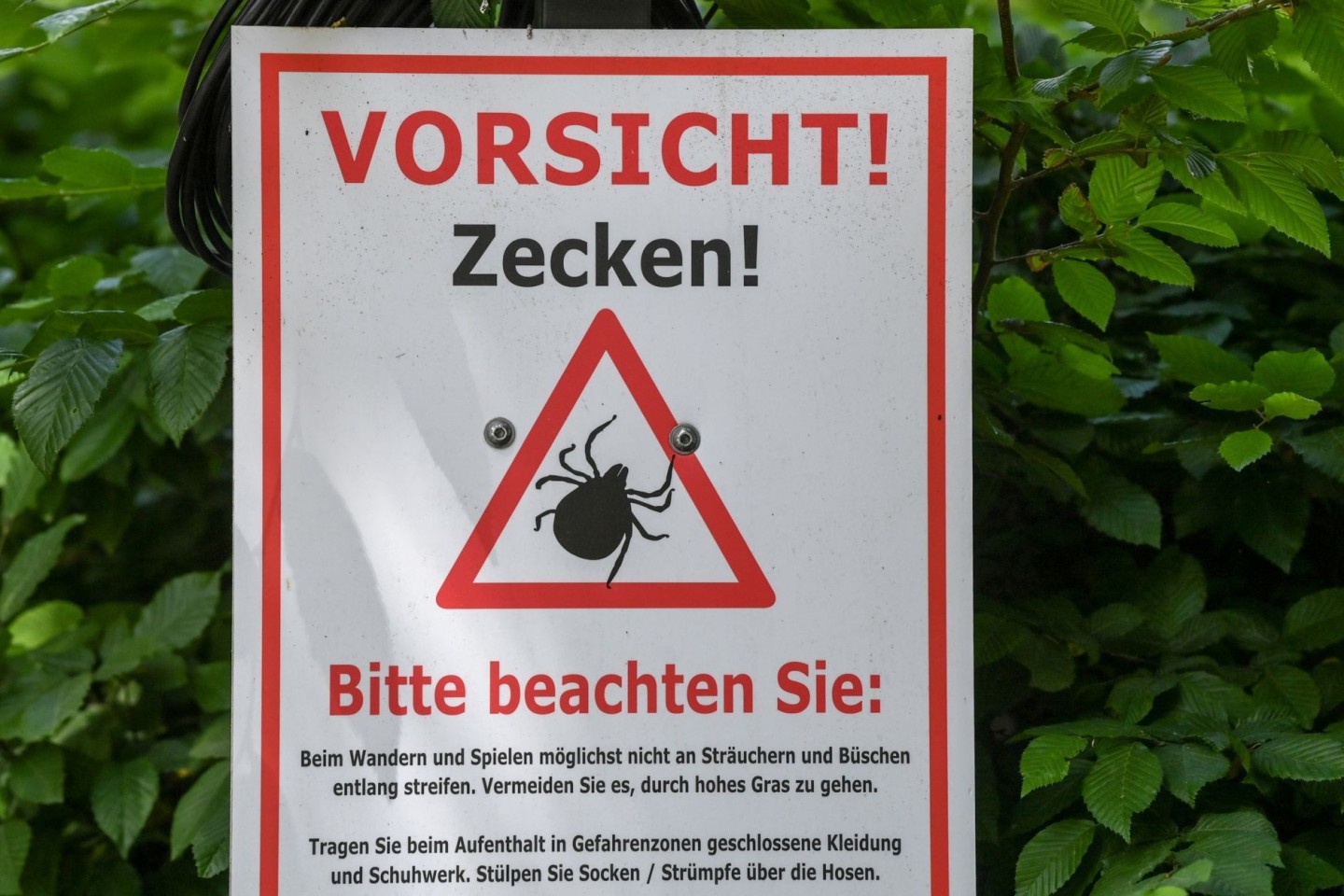 Warnschild im Biosphärenreservat Schorfheide-Chorin.