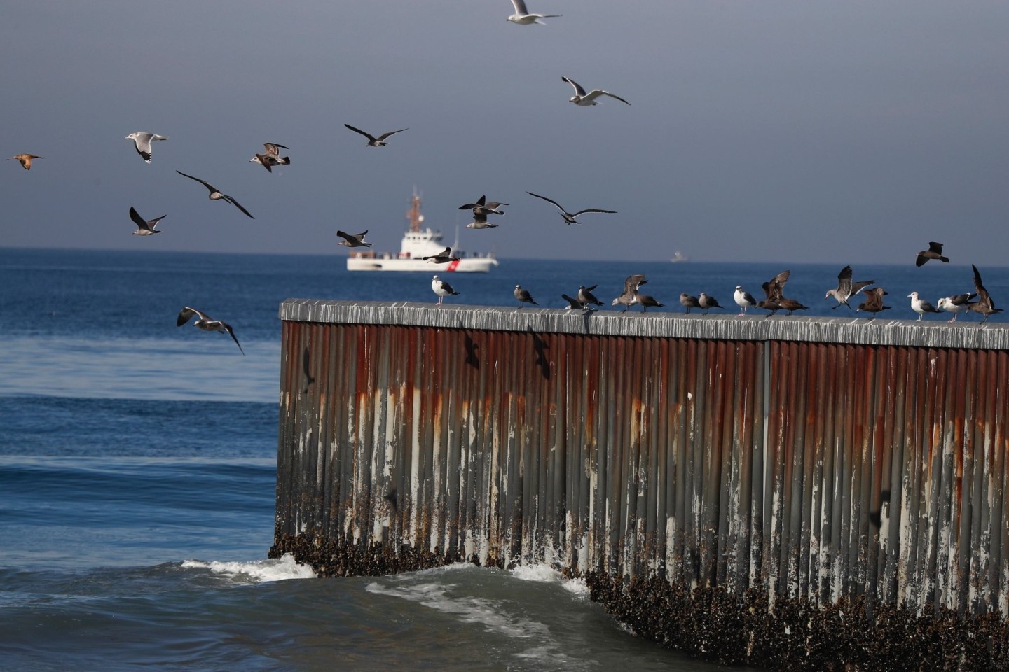Vögel auf dem Grenzzaun zwischen Mexiko und den Vereinigten Staaten, wo die Grenze auf den Pazifischen Ozean trifft.