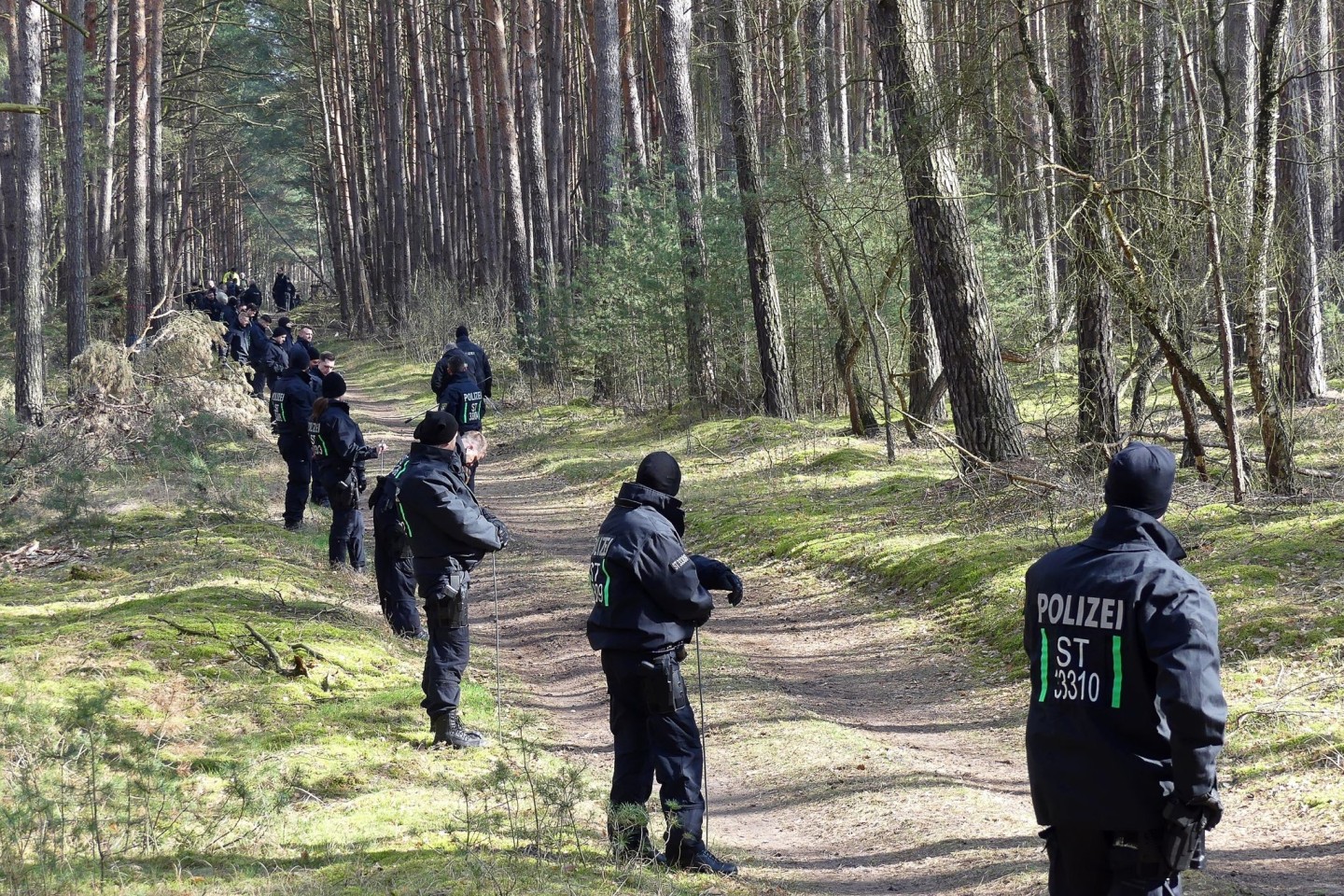 Zahlreiche Einsatzkräfte der Polizei durchsuchen im Vermisstenfall «Inga» erneut ein Gebiet im Landkreis Stendal.