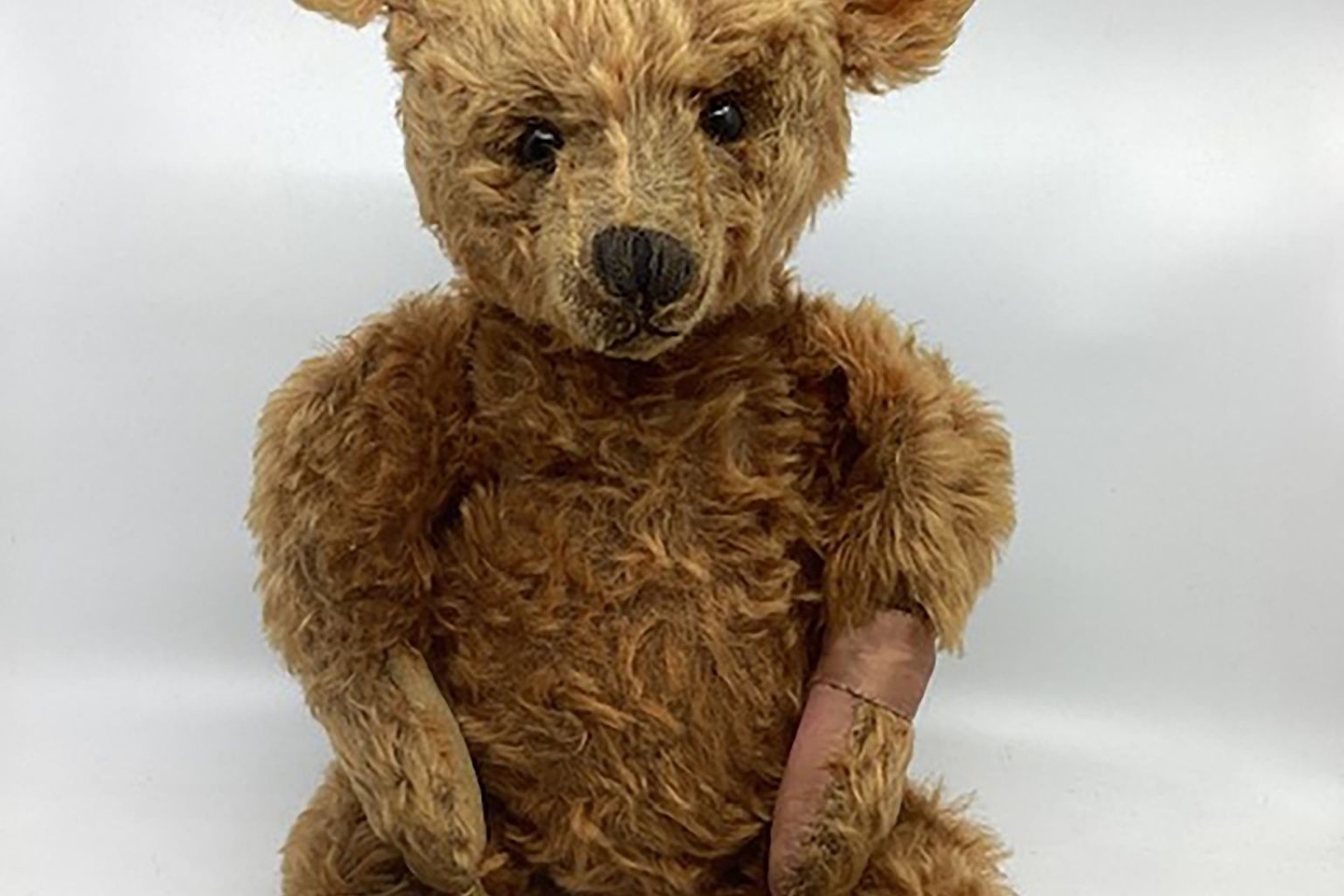 Der seltene Steiff-Teddybär aus dem Jahr 1905, der in Bishton Hall unter den Hammer kam.