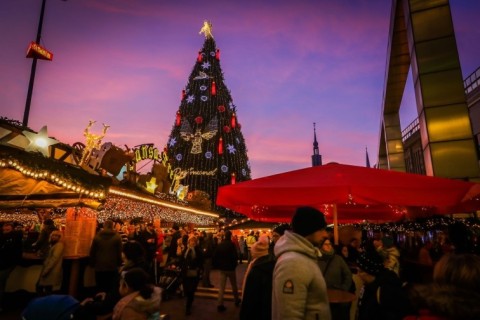 Größter Weihnachtsbaum der Welt leuchtet ab 21. November