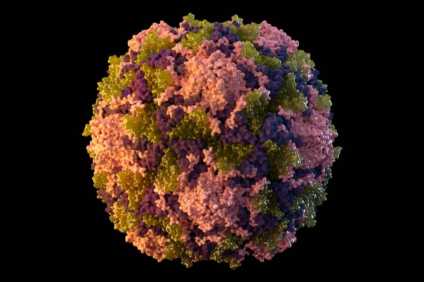Die Illustration aus dem Jahr 2014 zeigt ein Poliovirus-Partikel. Lange galt Kinderlähmung in den USA als ausgerottet. Im Sommer 2022 aber infizierte sich ein junger Mann nördlich der Mill...