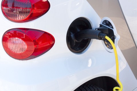 EDG setzt Anschaffung elektrisch angetriebener Fahrzeuge fort
